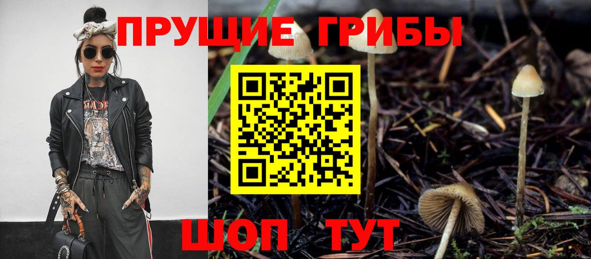 Мытищи  Псилоцибиновые грибы мухоморы  Вход с VPN  Псилоцибиновые грибы прущие грибы 